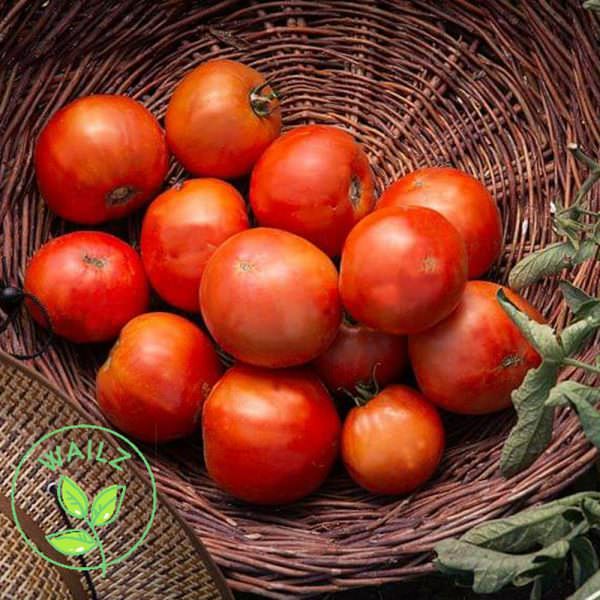 Suszone ormiańskie pomidory, produkty z Armenii