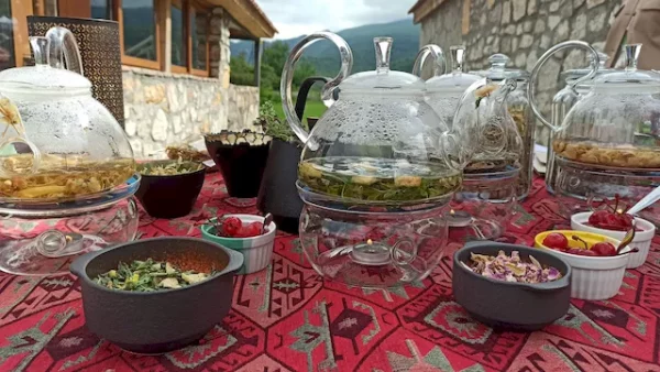 Herbata ormiańska, BIO